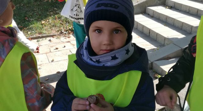 Kasztanobranie gr. Pszczółki