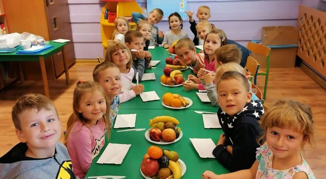 Sałatka owocowa gr. Pszczółki