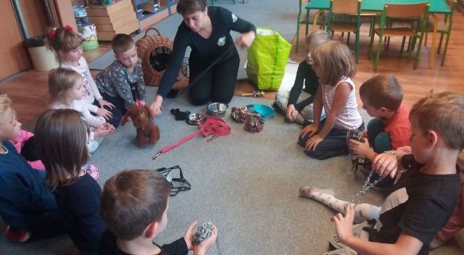 Zajęcia edukacyjne o ochronie praw zwierząt