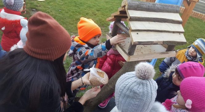 Dokarmiamy ptaki – grupa „Króliczki” i „Misie”