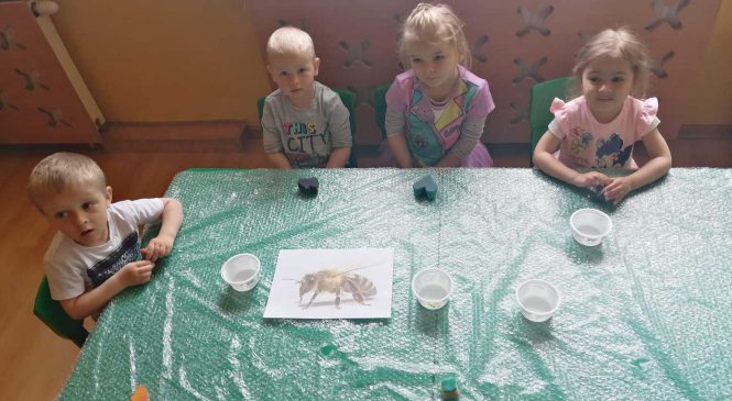 Światowy Dzień Pszczół