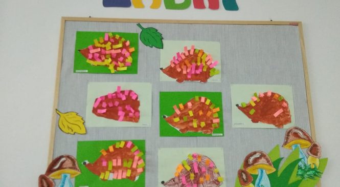 Jeżyk – mieszkaniec naszych ogrodów i lasów