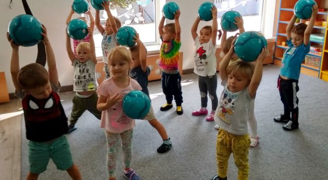 Misiowa Drużyna Kangura