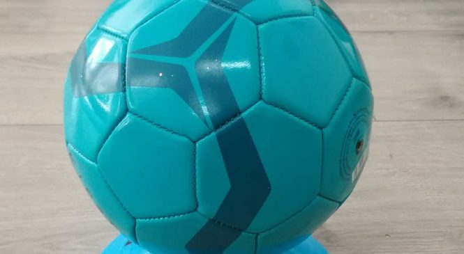 Tygryskowa Drużyna Kangura