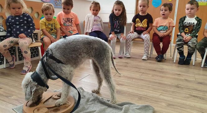 Zajęcia z edukacji kynologicznej