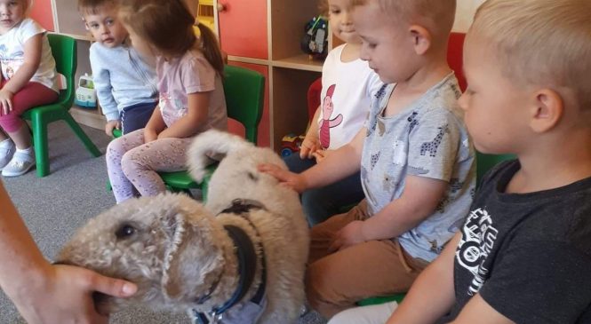 Zajęcia z edukacji kynologicznej – grupa „Słoneczka”