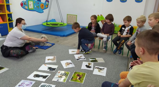Edukacja Kynologiczna w grupie Tygrysów