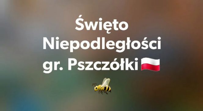 Święto Niepodległości gr. Pszczółki