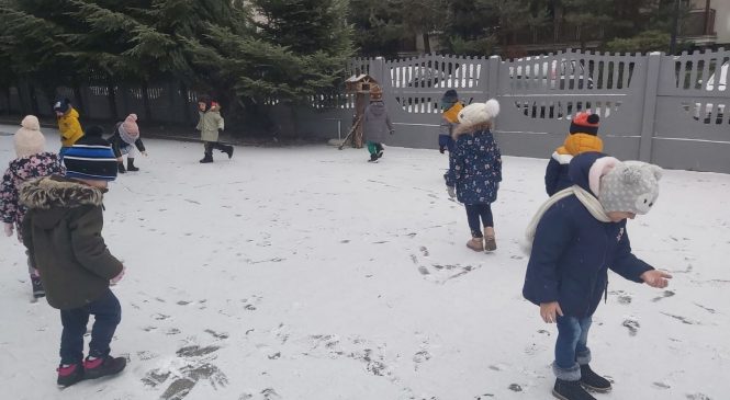 Śniegowe szaleństwo