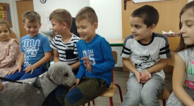 Zajęcia z edukacji kynologicznej