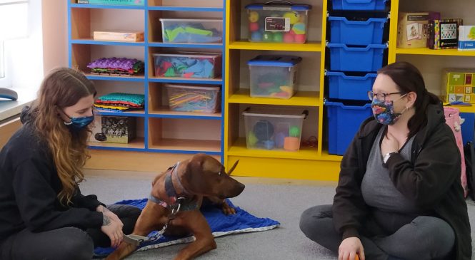 Zajęcia z edukacji kynologicznej w grupie Tygrysków