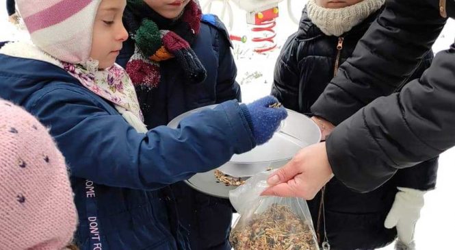 Dokarmiamy ptaki – gr. „Motylki”