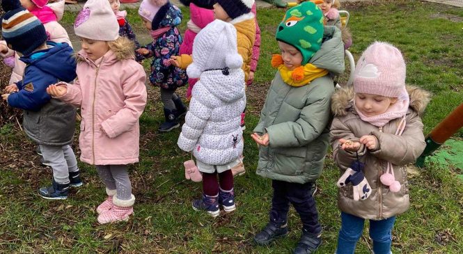 Pomagamy zwierzętom zimą – gr. „Słoneczka”