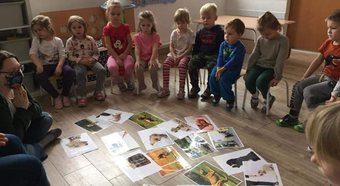 Zajęcia z edukacji kynologicznej 🐕