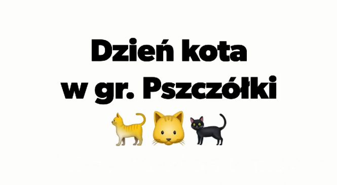 Dzień kota w gr. Pszczółki 🐈🐱🐈‍⬛