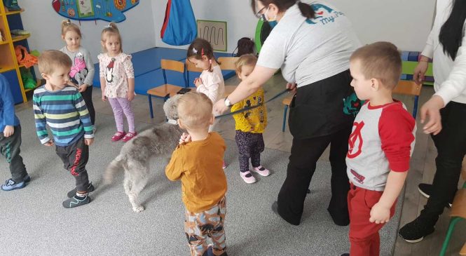 Zajęcia z edukacji kynologicznej w grupie Misie