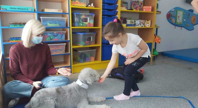 Zajęcia z edukacji kynologicznej w grupie Żabek