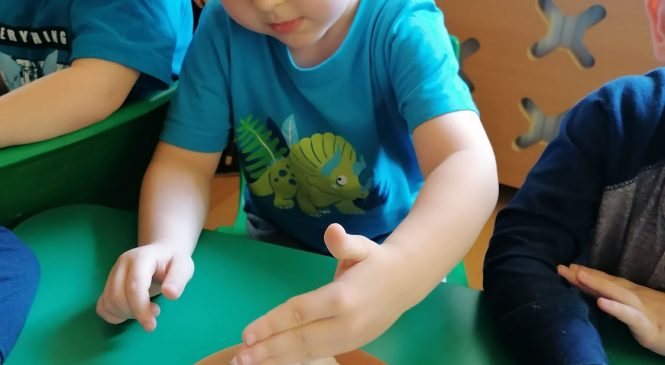 Siejemy rzeżuchę – gr. „Słoneczka” ☀️🌱