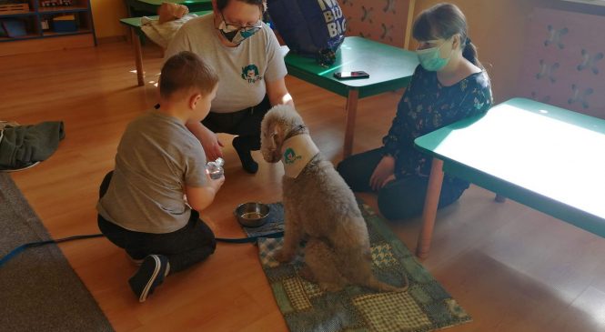 Zajęcia z edukacji kynologicznej – gr. „Słoneczka” i „Motylki” ☀️🦋🐕