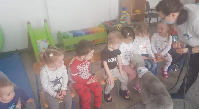 Edukacja kynologiczna w grupie Misie 🐕