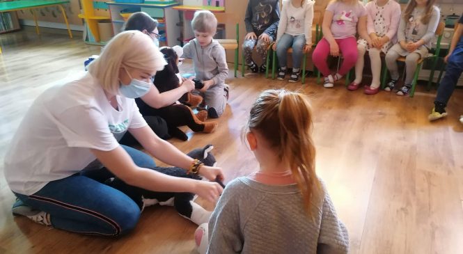 Zajęcia z edukacji kynologicznej w gr. Pszczółki 🐝🐝🐝 🐕 🐝🐝🐝