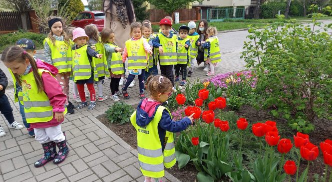 Maszeruje wiosna 🌷🌞🌳