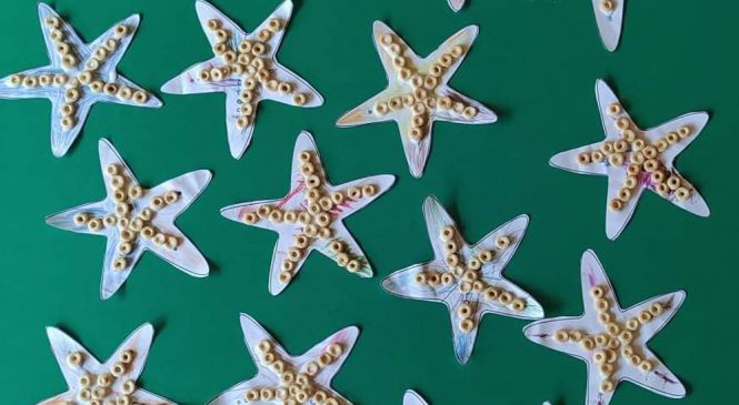 Rozgwiazdy w grupach Słoneczka i Motylki