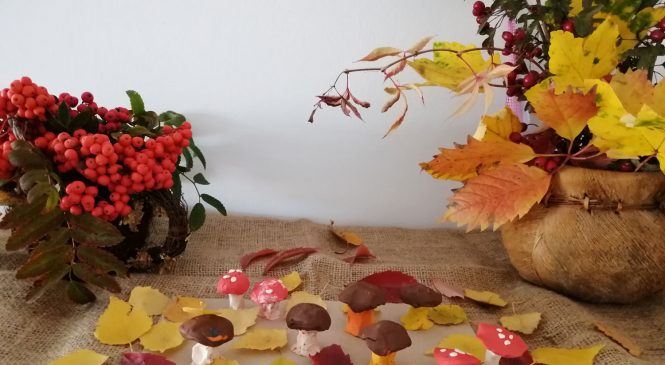 Jesienne grzybobranie w grupie Żabek 🍄