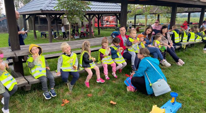 Wycieczka do Mini Zoo – gr. „Słoneczka” i „Motylki” ☀️🦋🦓🐏