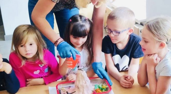 Zajęcia „Mały Odkrywca” w grupie „Tygrysy”