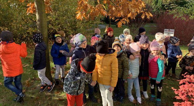 Dzień Drzewa w naszym przedszkolu🌲🍂🌳🍁🌱🍂🌲