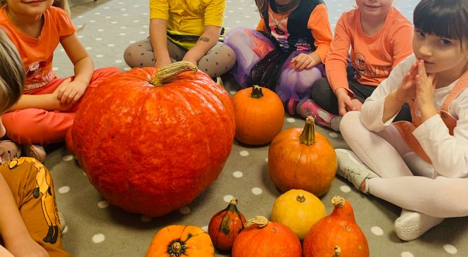Dzień Dyni u „Tygrysów”🧡🧡🧡