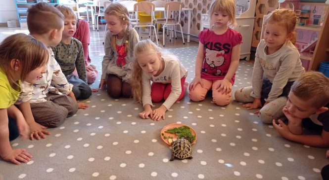 Dzień zwierząt w gr. Pszczółki