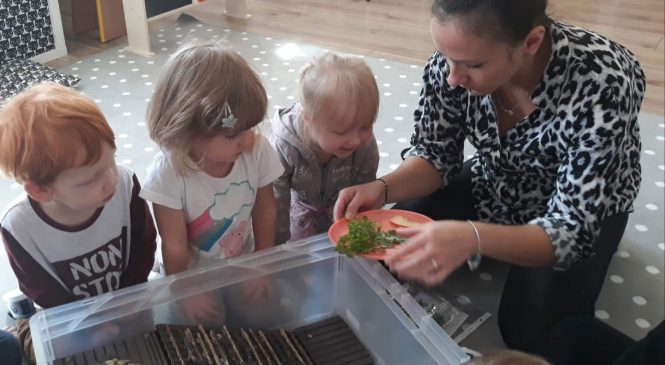 Dzień zwierząt w gr. Żabki 🐸