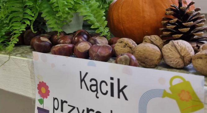 #ekokulturalneprzedszkole