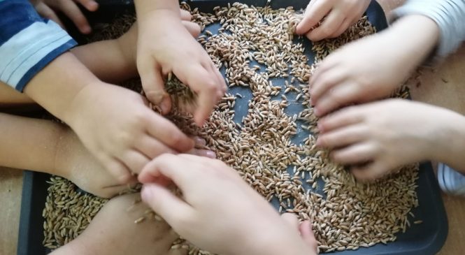 Zabawy z mąką w grupie Żabki👏