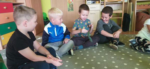 Motylki ciekawe świata