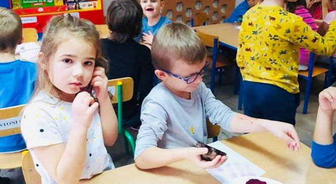 Dzień Buraka w grupie „Tygrysy”