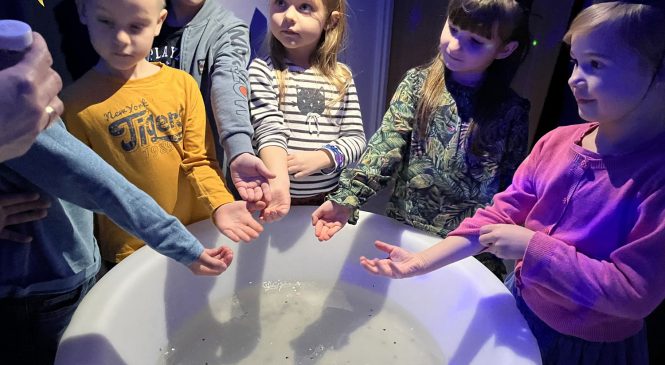 Andrzejkowe wróżenie – grupa „Tygrysy”