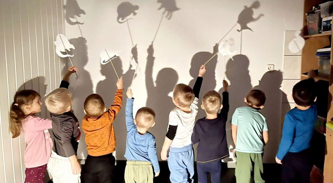 Dinozaury w grupie „Misie”