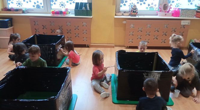 Słoneczka witają zimę