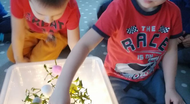 Świątecznie i sensorycznie w Żabkach