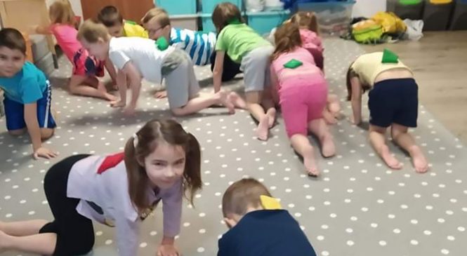 Dzień Kota w gr. Tygrysy