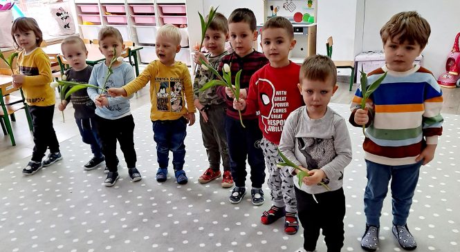 Dzień Kobiet – Misie i Króliczki 🌹