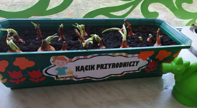 Kącik przyrodniczy w Żabkach