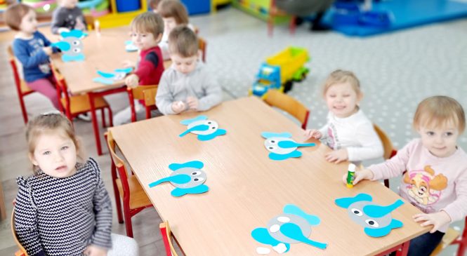 „Króliczki” w Afryce 🐘