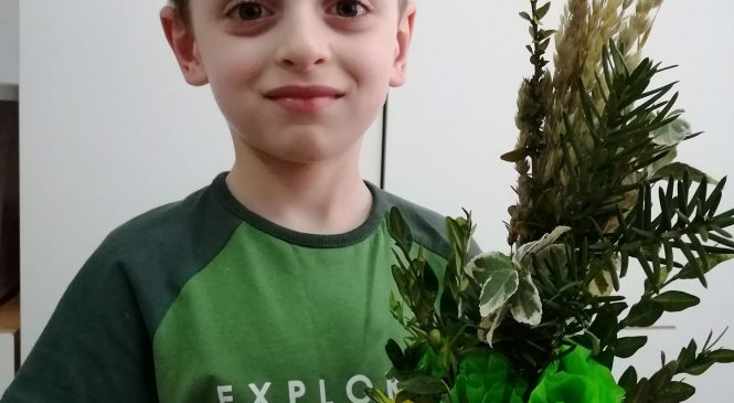 Palmy wielkanocne – gr. Żabki 🌾