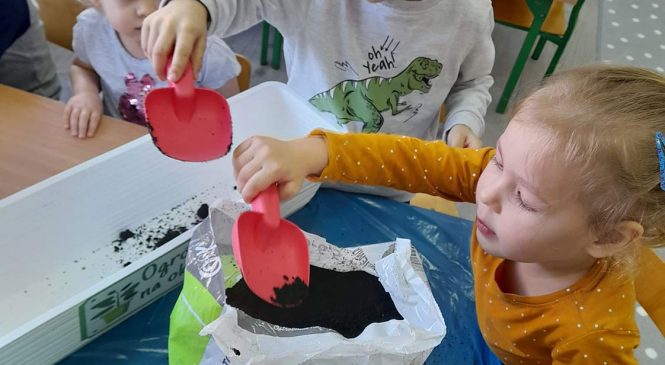 Prace ogrodnicze w grupie „Misie”