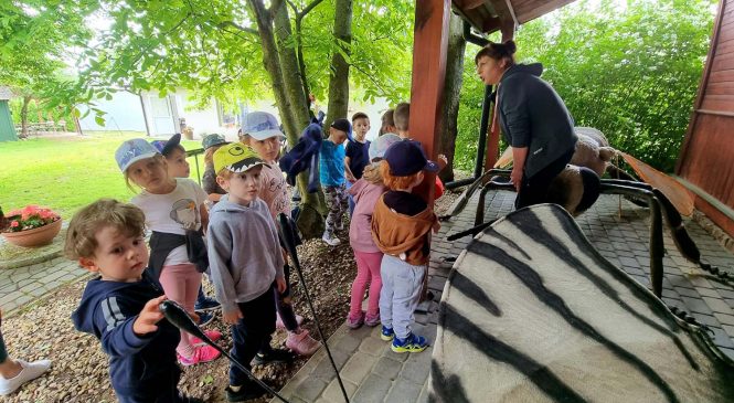 Wycieczka do Owadolandii gr. Żabki 🐸🐸🐸