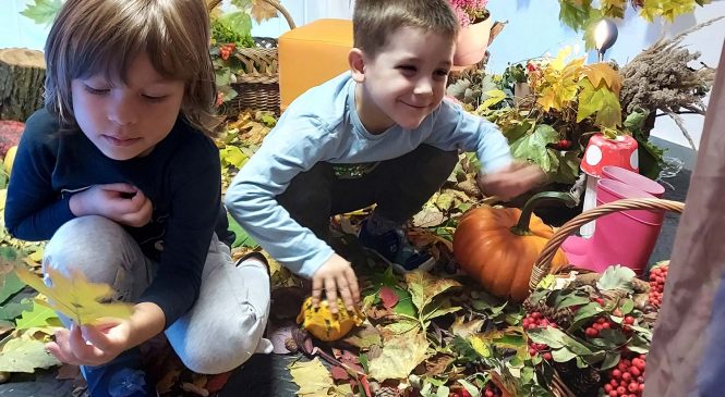 Pierwszy Dzień Jesieni w Żabkach🍄🍁🍂